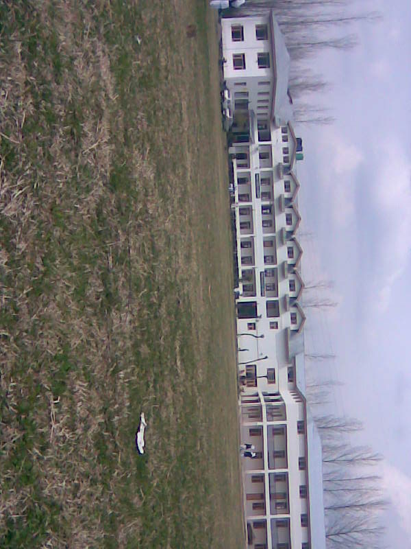 Shadab b.e.d college kashmir